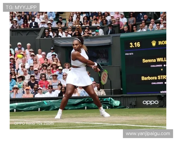 杭州网球队的转型之路:深度解析网球运动的变革与发展